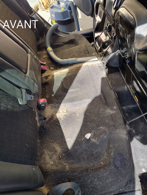 avant 3